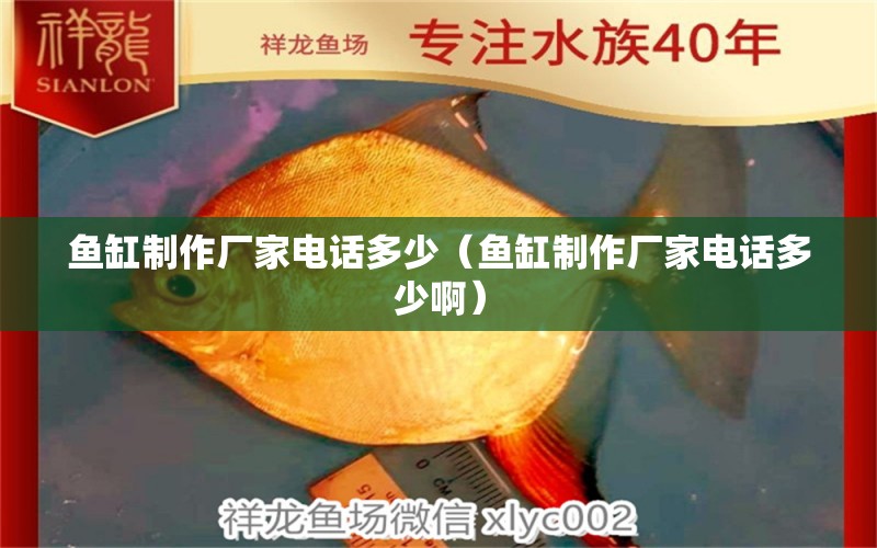 魚缸制作廠家電話多少（魚缸制作廠家電話多少?。? title=