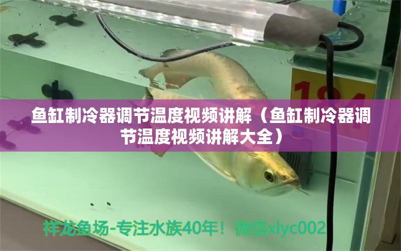 魚(yú)缸制冷器調(diào)節(jié)溫度視頻講解（魚(yú)缸制冷器調(diào)節(jié)溫度視頻講解大全）