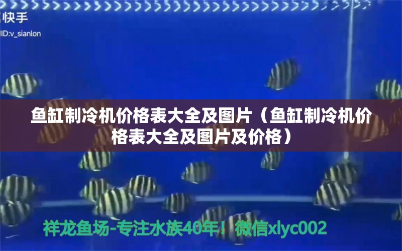 魚缸制冷機(jī)價(jià)格表大全及圖片（魚缸制冷機(jī)價(jià)格表大全及圖片及價(jià)格） 祥龍水族醫(yī)院