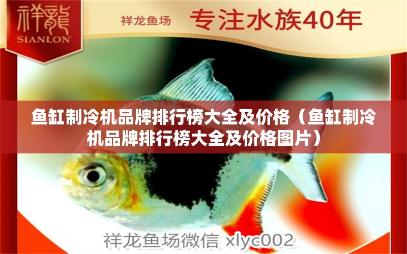 魚缸制冷機(jī)品牌排行榜大全及價格（魚缸制冷機(jī)品牌排行榜大全及價格圖片）