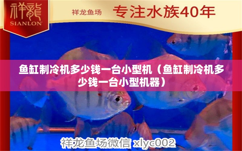 魚(yú)缸制冷機(jī)多少錢(qián)一臺(tái)小型機(jī)（魚(yú)缸制冷機(jī)多少錢(qián)一臺(tái)小型機(jī)器） 觀賞魚(yú)市場(chǎng)（混養(yǎng)魚(yú)）