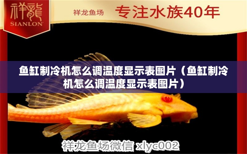 魚缸制冷機(jī)怎么調(diào)溫度顯示表圖片（魚缸制冷機(jī)怎么調(diào)溫度顯示表圖片）