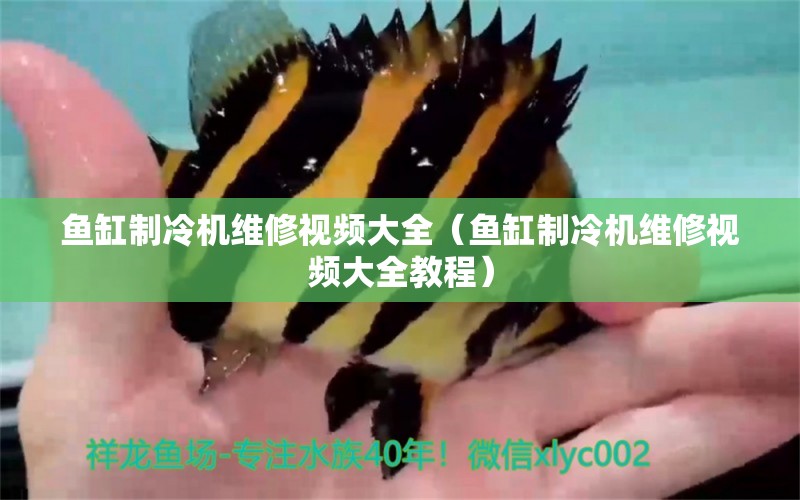 魚(yú)缸制冷機(jī)維修視頻大全（魚(yú)缸制冷機(jī)維修視頻大全教程）