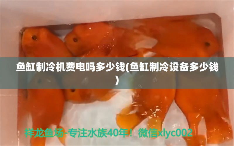 魚缸制冷機費電嗎多少錢(魚缸制冷設備多少錢)