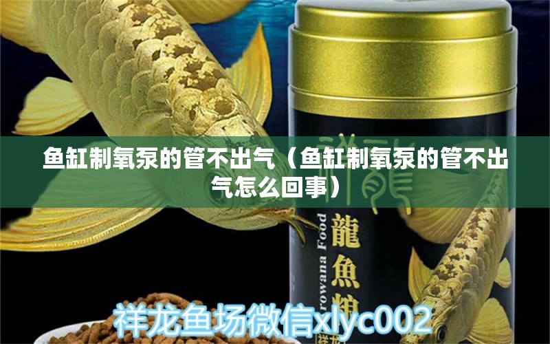 魚缸制氧泵的管不出氣（魚缸制氧泵的管不出氣怎么回事）