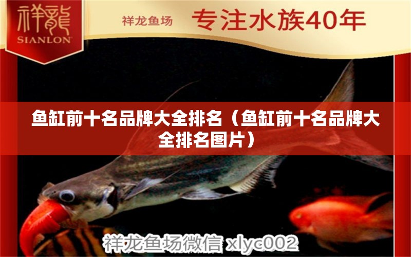 魚缸前十名品牌大全排名（魚缸前十名品牌大全排名圖片）