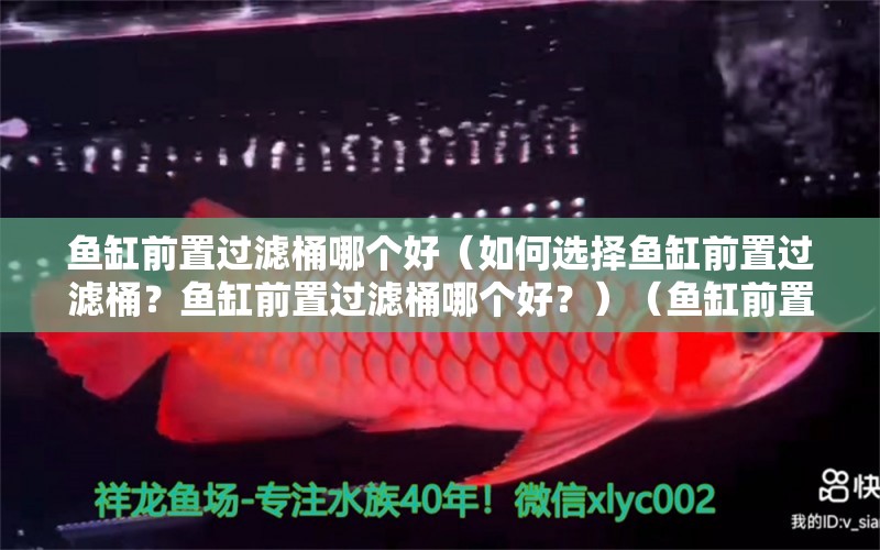 魚缸前置過濾桶哪個好（如何選擇魚缸前置過濾桶？魚缸前置過濾桶哪個好？）（魚缸前置過濾桶哪個好用） 肺魚