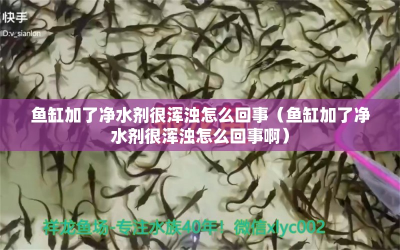 魚缸加了凈水劑很渾濁怎么回事（魚缸加了凈水劑很渾濁怎么回事?。?沖氧泵