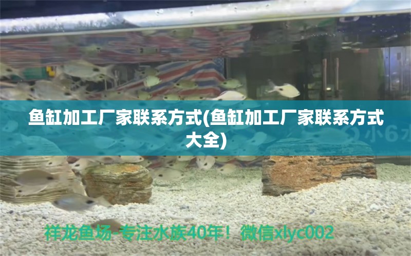 魚缸加工廠家聯(lián)系方式(魚缸加工廠家聯(lián)系方式大全)