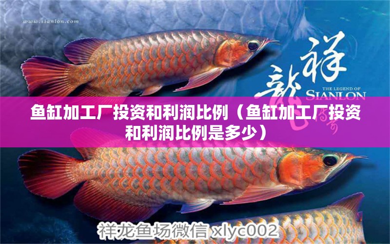 魚缸加工廠投資和利潤比例（魚缸加工廠投資和利潤比例是多少）