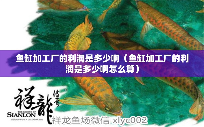 魚缸加工廠的利潤是多少啊（魚缸加工廠的利潤是多少啊怎么算）