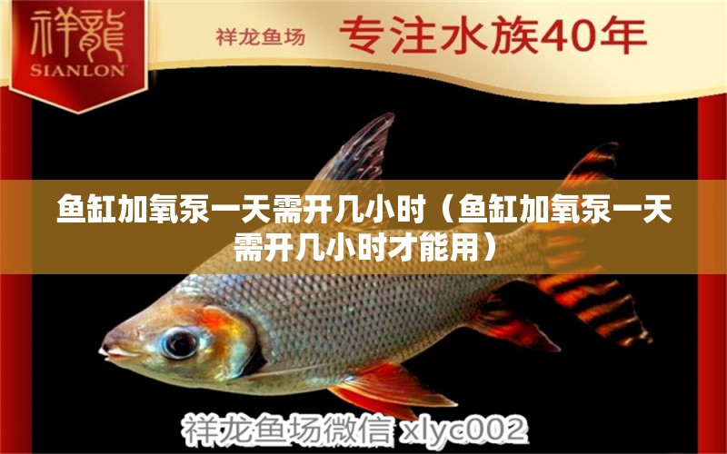 魚缸加氧泵一天需開幾小時（魚缸加氧泵一天需開幾小時才能用） 觀賞魚市場（混養(yǎng)魚）