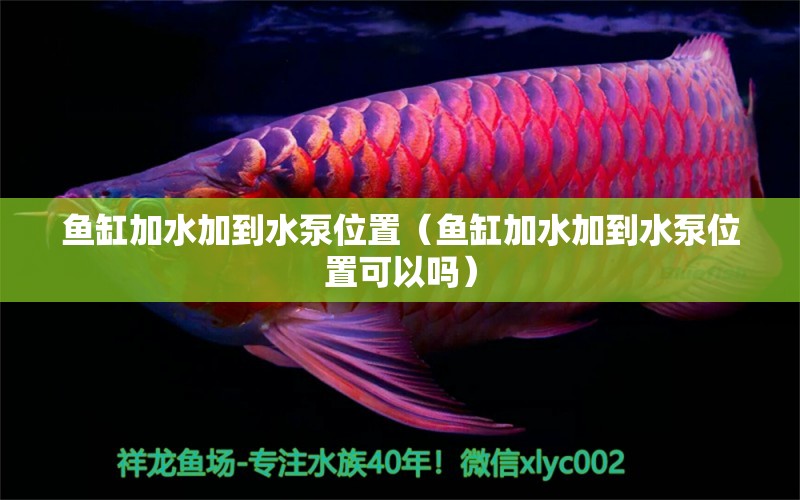 魚缸加水加到水泵位置（魚缸加水加到水泵位置可以嗎）