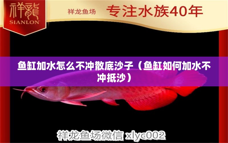 魚缸加水怎么不沖散底沙子（魚缸如何加水不沖抵沙） 龍魚疾病與治療