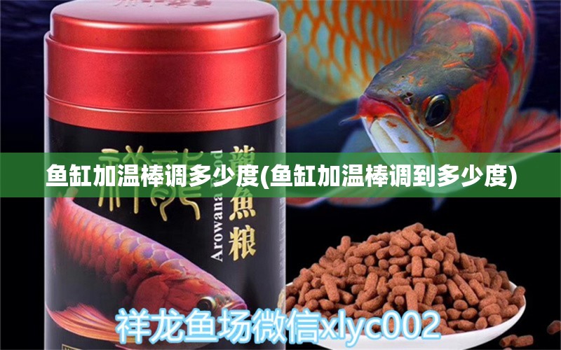 魚缸加溫棒調(diào)多少度(魚缸加溫棒調(diào)到多少度) 福滿鉆魚