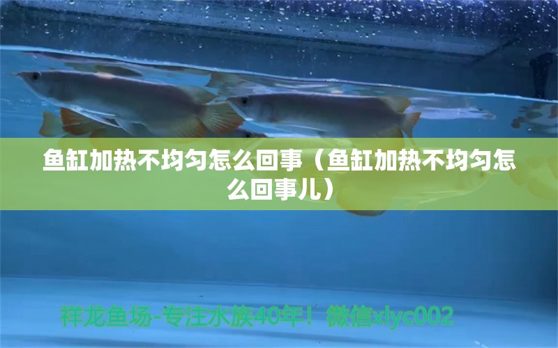 魚缸加熱不均勻怎么回事（魚缸加熱不均勻怎么回事兒）