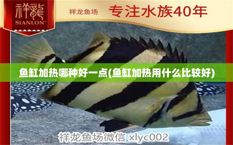 魚(yú)缸加熱哪種好一點(diǎn)(魚(yú)缸加熱用什么比較好) 狗仔招財(cái)貓魚(yú)