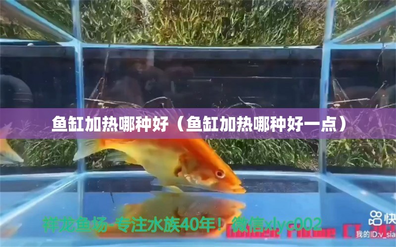 魚(yú)缸加熱哪種好（魚(yú)缸加熱哪種好一點(diǎn)） 朱巴利魚(yú)