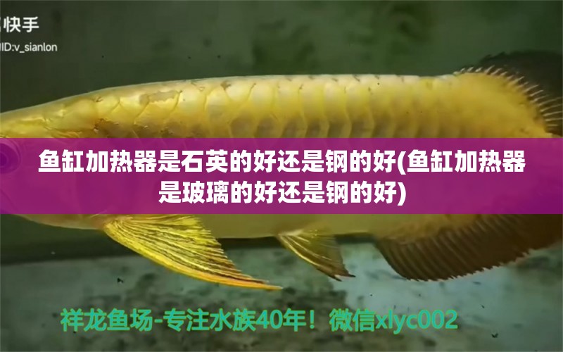 魚(yú)缸加熱器是石英的好還是鋼的好(魚(yú)缸加熱器是玻璃的好還是鋼的好)