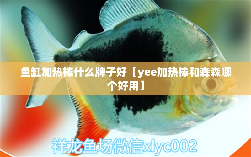 魚(yú)缸加熱棒什么牌子好【yee加熱棒和森森哪個(gè)好用】