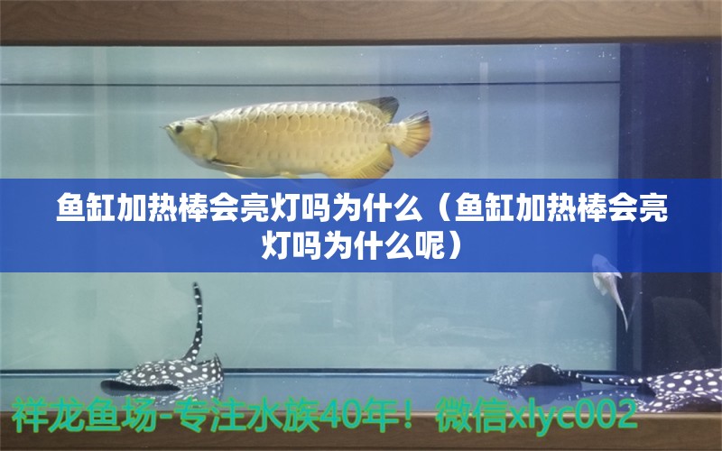 魚缸加熱棒會亮燈嗎為什么（魚缸加熱棒會亮燈嗎為什么呢） 祥龍水族醫(yī)院