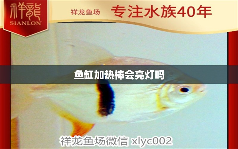 魚缸加熱棒會亮燈嗎