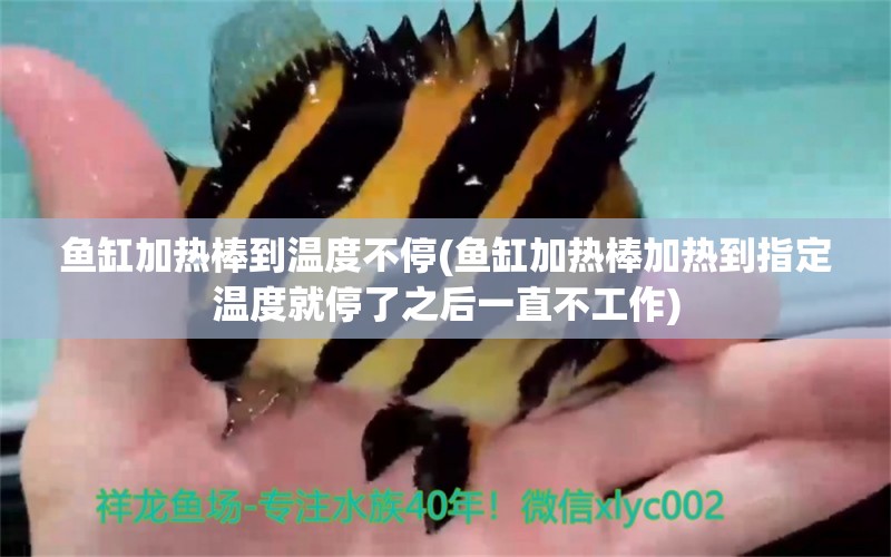 魚缸加熱棒到溫度不停(魚缸加熱棒加熱到指定溫度就停了之后一直不工作)