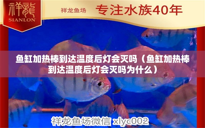 魚缸加熱棒到達(dá)溫度后燈會滅嗎（魚缸加熱棒到達(dá)溫度后燈會滅嗎為什么）