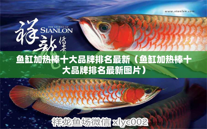 魚缸加熱棒十大品牌排名最新（魚缸加熱棒十大品牌排名最新圖片） 其他品牌魚缸