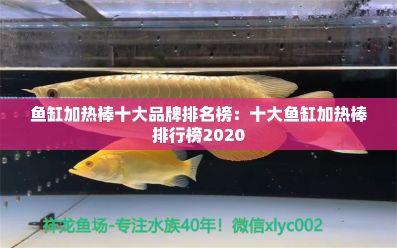 魚缸加熱棒十大品牌排名榜：十大魚缸加熱棒排行榜2020