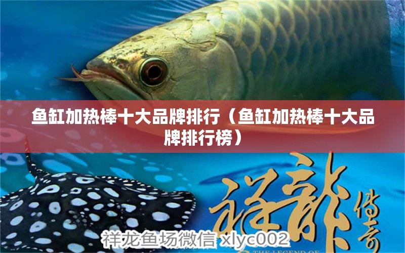 魚缸加熱棒十大品牌排行（魚缸加熱棒十大品牌排行榜）