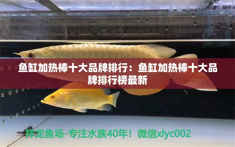 魚缸加熱棒十大品牌排行：魚缸加熱棒十大品牌排行榜最新