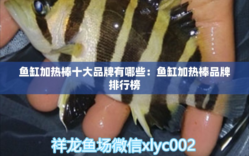 魚(yú)缸加熱棒十大品牌有哪些：魚(yú)缸加熱棒品牌排行榜