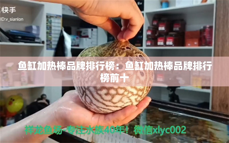 魚缸加熱棒品牌排行榜：魚缸加熱棒品牌排行榜前十