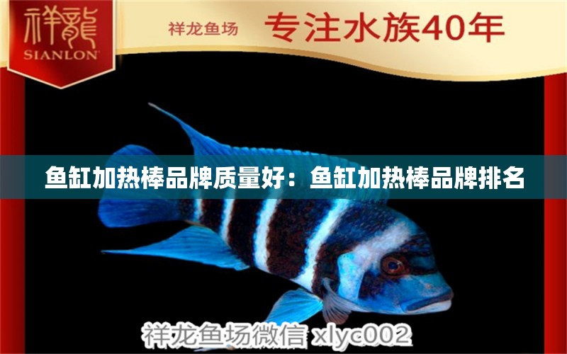 魚缸加熱棒品牌質(zhì)量好：魚缸加熱棒品牌排名