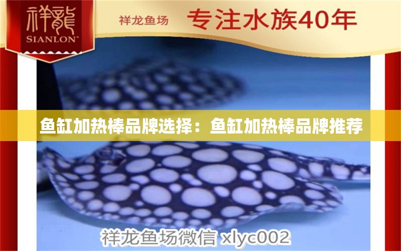 魚缸加熱棒品牌選擇：魚缸加熱棒品牌推薦