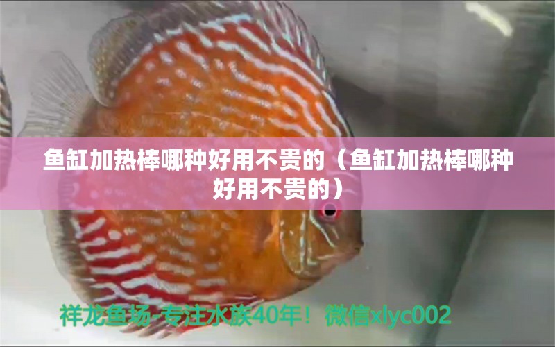 魚缸加熱棒哪種好用不貴的（魚缸加熱棒哪種好用不貴的） 印尼小紅龍