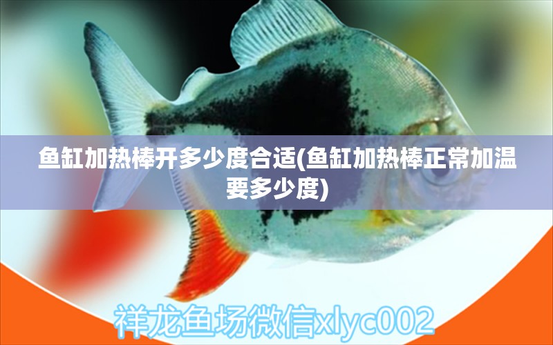 魚缸加熱棒開多少度合適(魚缸加熱棒正常加溫要多少度)