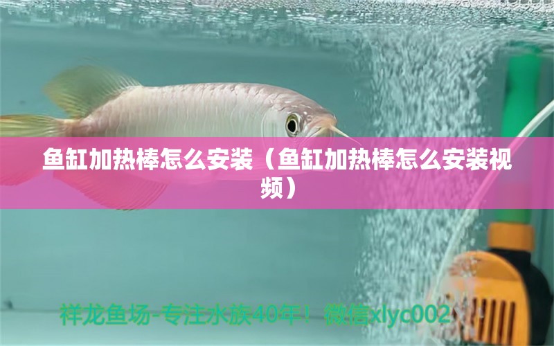 魚缸加熱棒怎么安裝（魚缸加熱棒怎么安裝視頻）