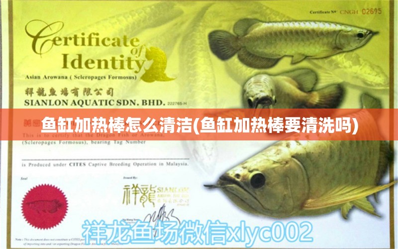 魚缸加熱棒怎么清潔(魚缸加熱棒要清洗嗎) 祥龍水族濾材/器材