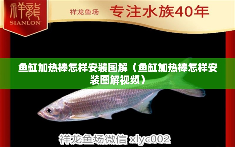 魚缸加熱棒怎樣安裝圖解（魚缸加熱棒怎樣安裝圖解視頻）