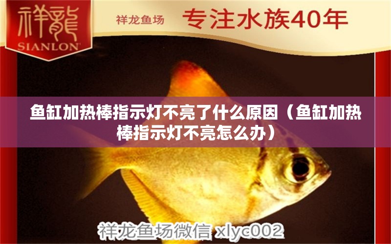 魚缸加熱棒指示燈不亮了什么原因（魚缸加熱棒指示燈不亮怎么辦） 海象魚