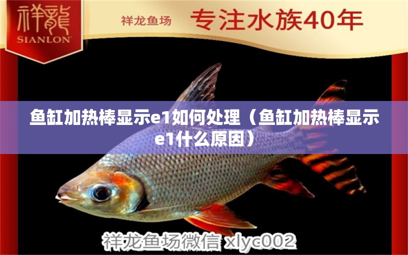 魚(yú)缸加熱棒顯示e1如何處理（魚(yú)缸加熱棒顯示e1什么原因） 伊巴卡魚(yú)