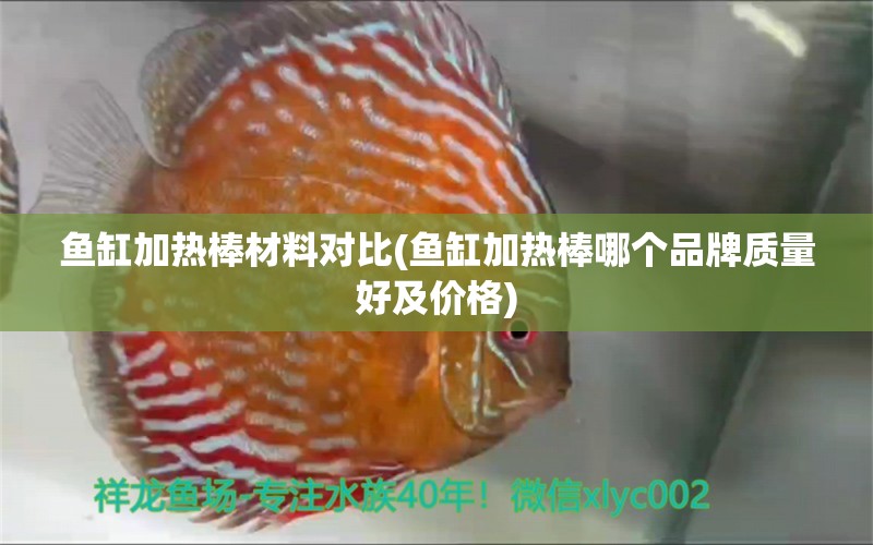 魚缸加熱棒材料對(duì)比(魚缸加熱棒哪個(gè)品牌質(zhì)量好及價(jià)格) 南美異形觀賞魚