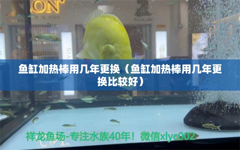 魚缸加熱棒用幾年更換（魚缸加熱棒用幾年更換比較好）