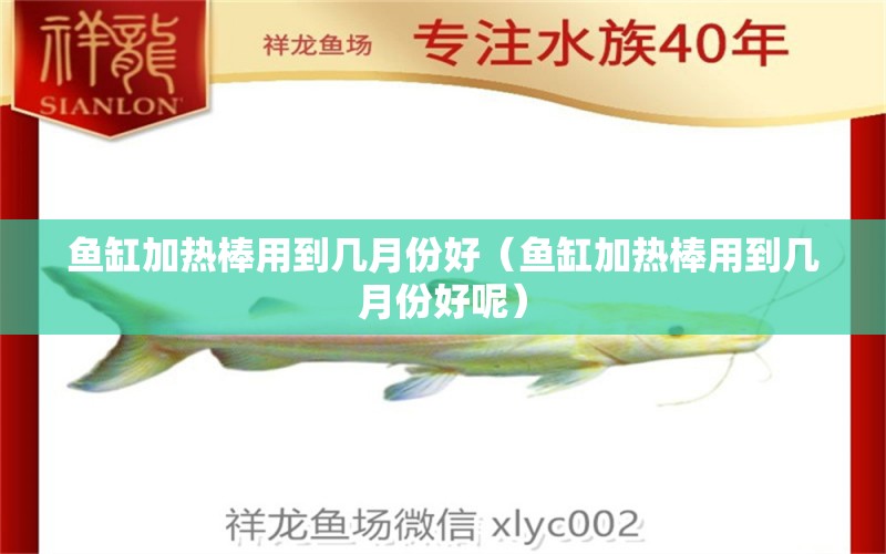 魚缸加熱棒用到幾月份好（魚缸加熱棒用到幾月份好呢）