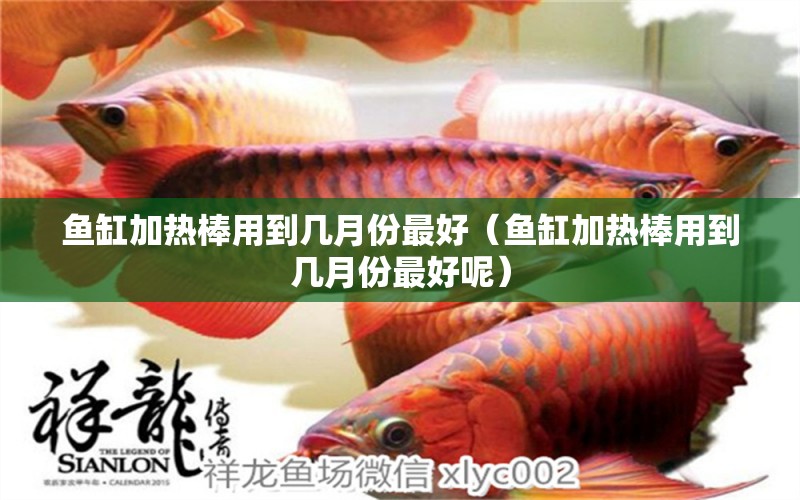 魚缸加熱棒用到幾月份最好（魚缸加熱棒用到幾月份最好呢）