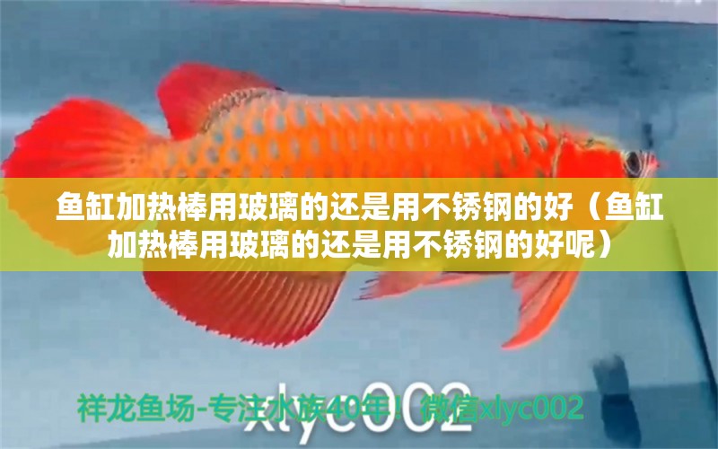 魚缸加熱棒用玻璃的還是用不銹鋼的好（魚缸加熱棒用玻璃的還是用不銹鋼的好呢） 祥龍水族醫(yī)院