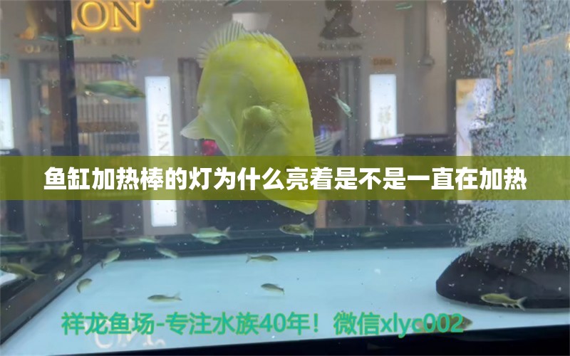 魚(yú)缸加熱棒的燈為什么亮著是不是一直在加熱