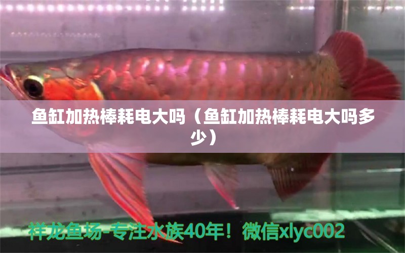 魚(yú)缸加熱棒耗電大嗎（魚(yú)缸加熱棒耗電大嗎多少）